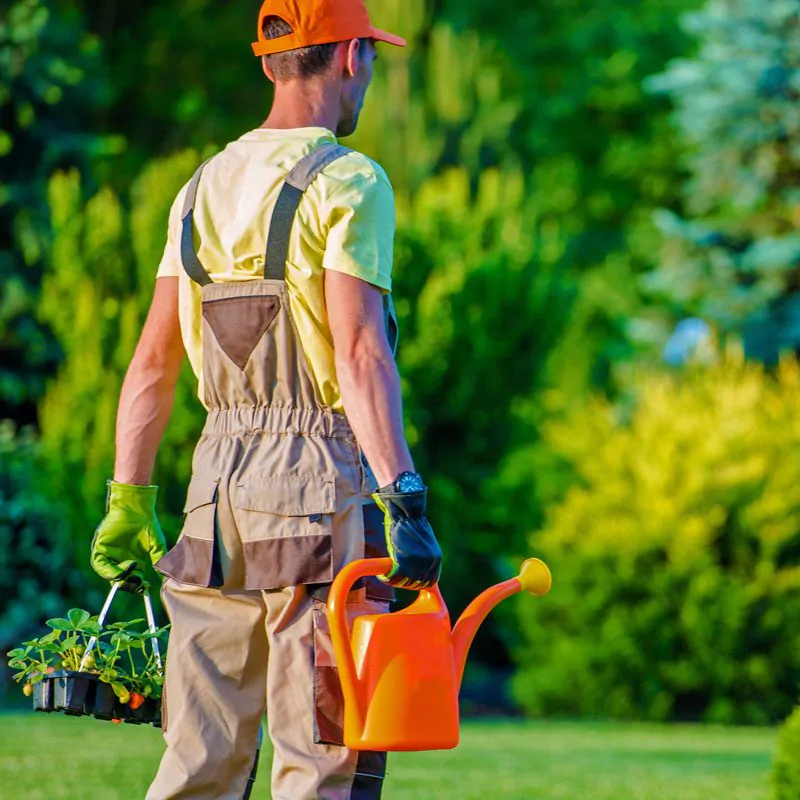 gardener-and-his-garden-job-2021-08-26-23-04-32-utc-2.jpg